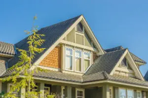 Wood / cedar shake roof